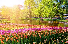 Dicas de Cultivo para um Jardim Saudável: Guia Completo