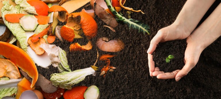 Compostagem Doméstica: Guia Completo para Iniciar Hoje
