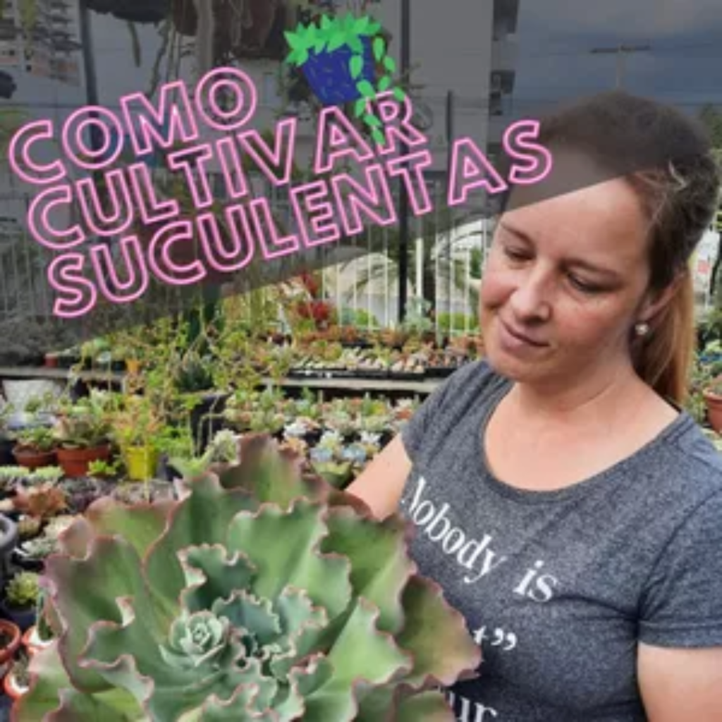 Curso Como Cultivar Suculentas