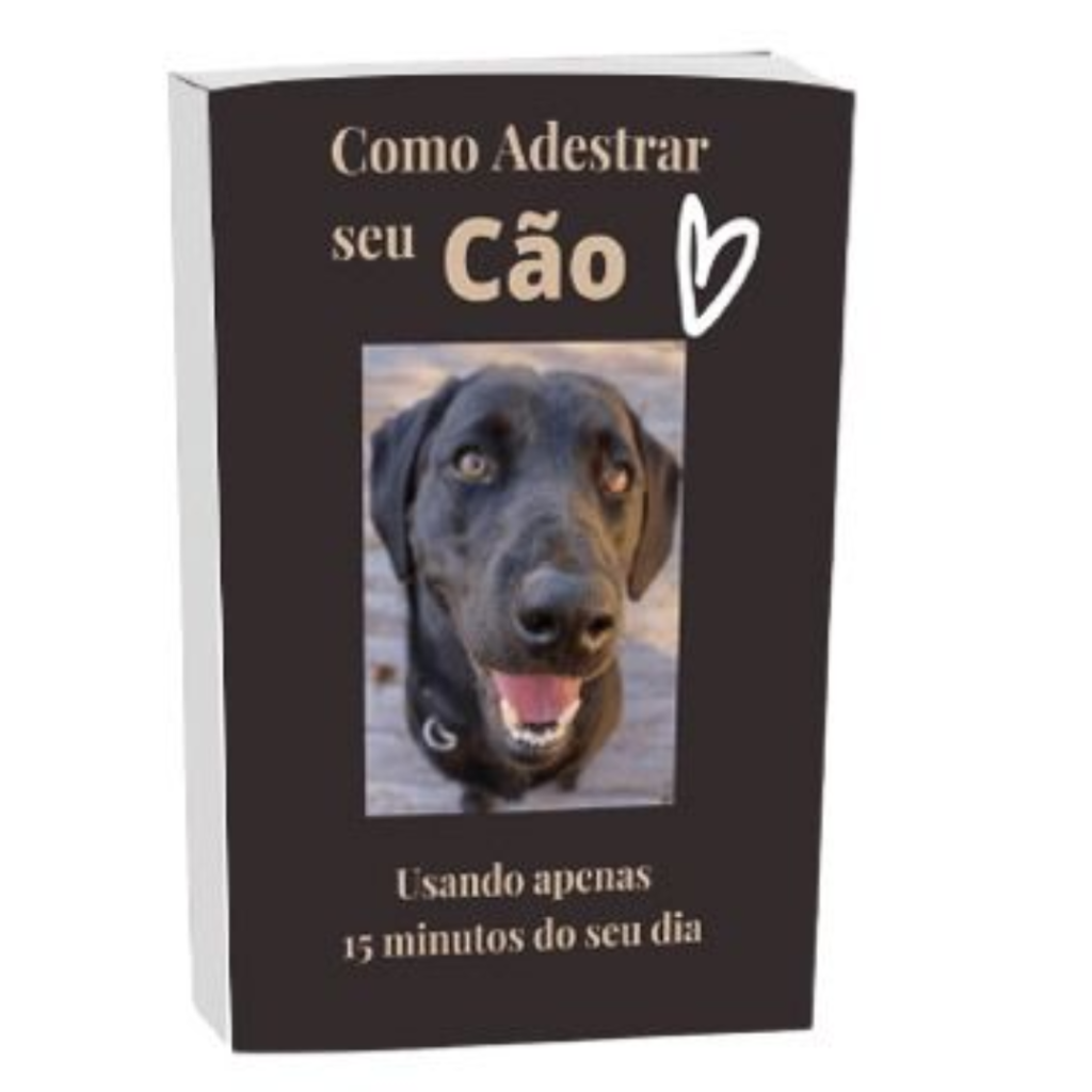 como adestrar rápido cachorro